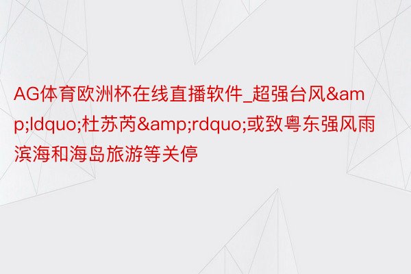 AG体育欧洲杯在线直播软件_超强台风&ldquo;杜苏芮&rdquo;或致粤东强风雨 滨海和海岛旅游等关停