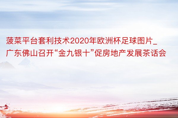 菠菜平台套利技术2020年欧洲杯足球图片_广东佛山召开“金九银十”促房地产发展茶话会