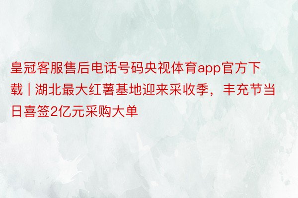 皇冠客服售后电话号码央视体育app官方下载 | 湖北最大红薯基地迎来采收季，丰充节当日喜签2亿元采购大单